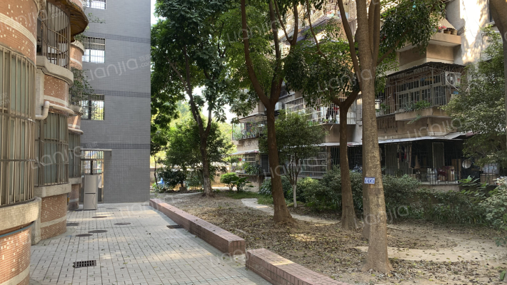 电台大院外景图