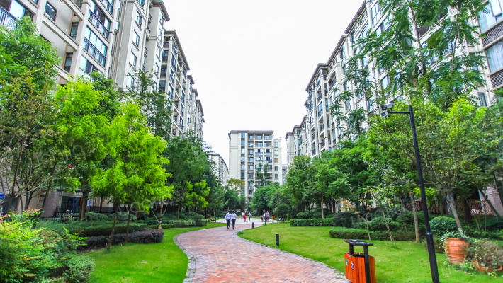 九龙仓时代小镇外景图