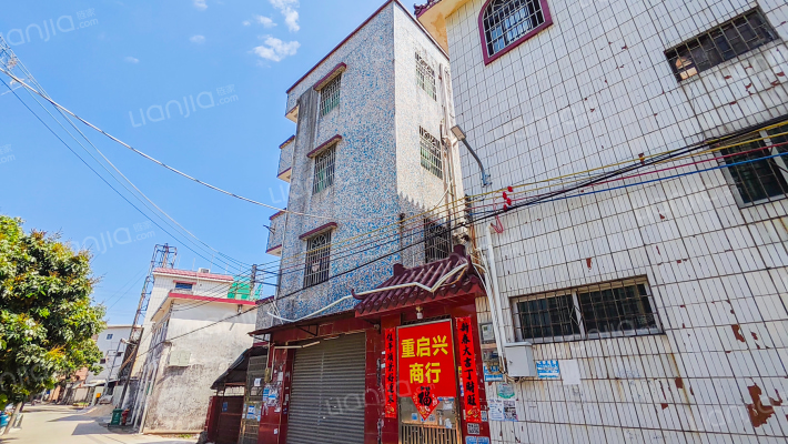 七村焦围队外景图