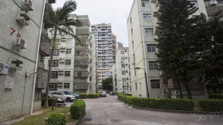 丽岛花园_深圳丽岛花园二手房|房价|租房【深圳贝壳找房】