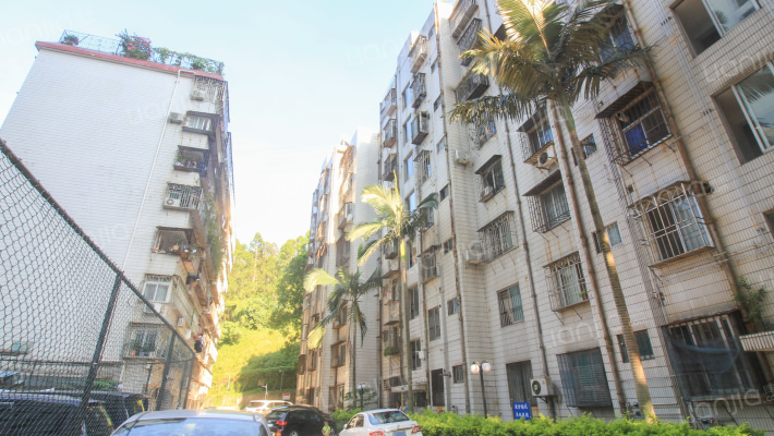 特检站二大院外景图