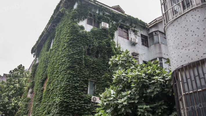 金鸿花园外景图