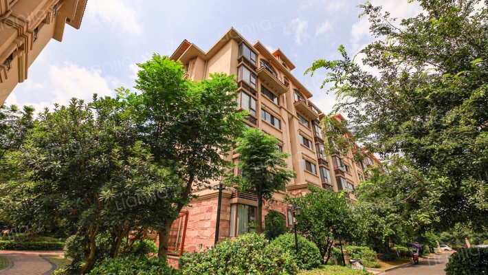 象湖明珠外景图