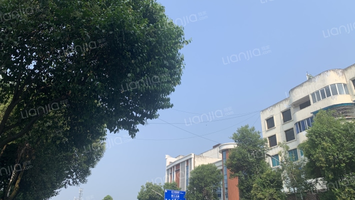 金彭西路外景图