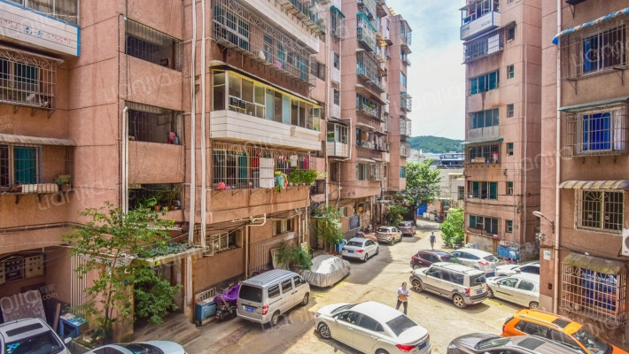 向阳路大院13号外景图