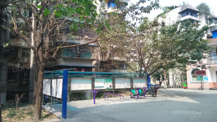 九龙镇马王社区外景图