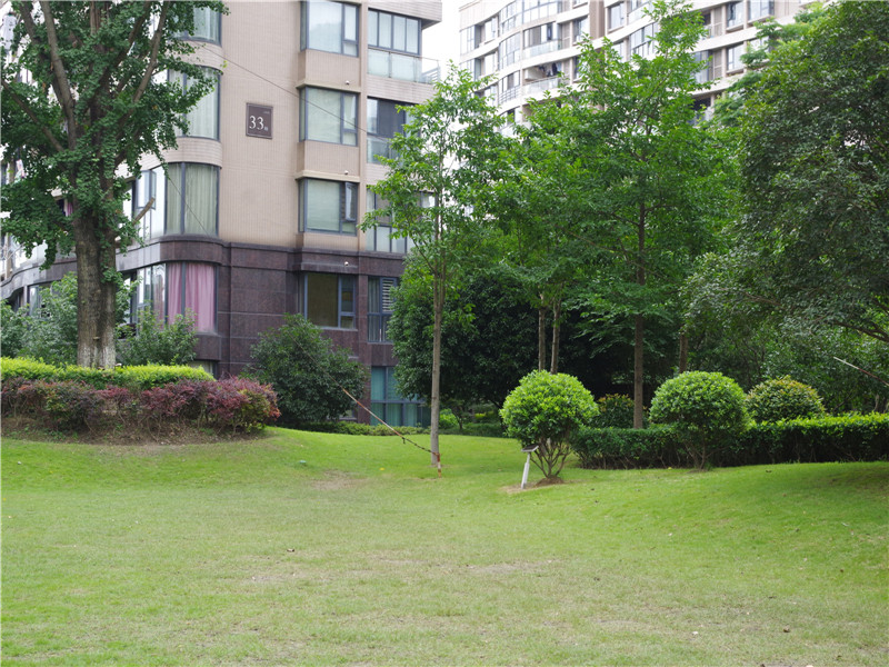 耀江文鼎苑 小区实景 46