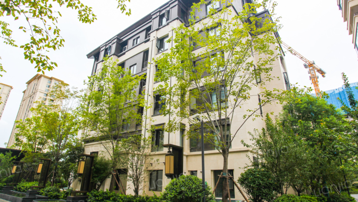 盛澳金尊府二期外景图