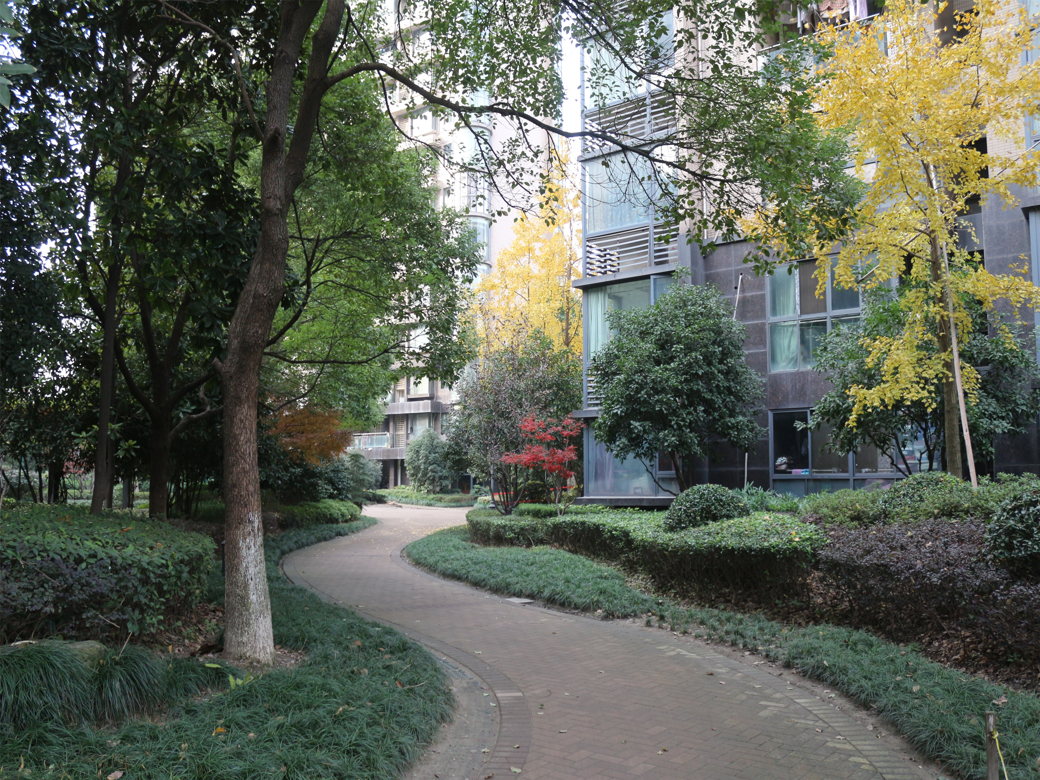 耀江文鼎苑 小区实景 53