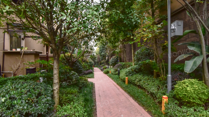 金科城61区外景图