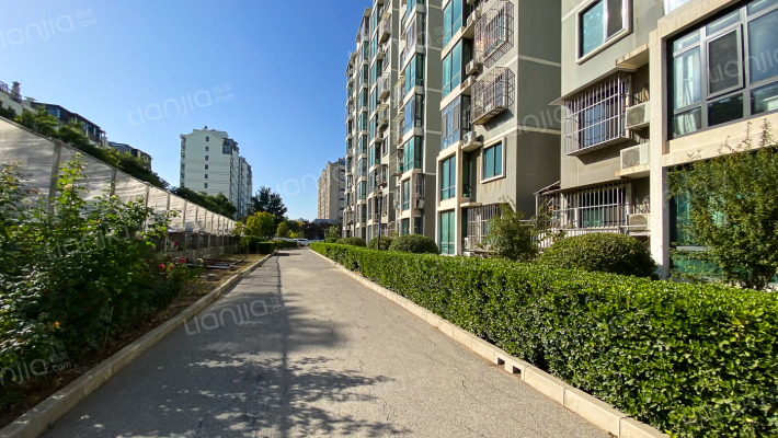 新新天第外景图