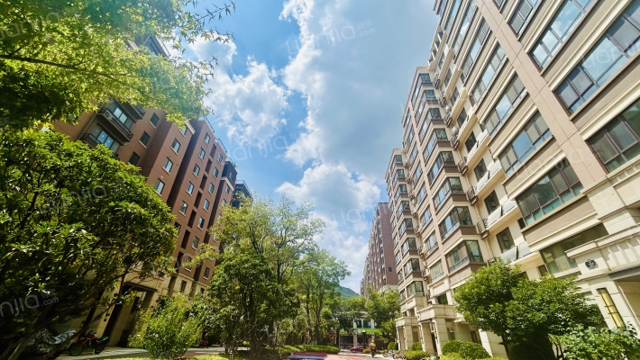 大华紫郡外景图