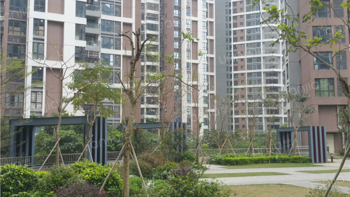 财富世家公园里外景图