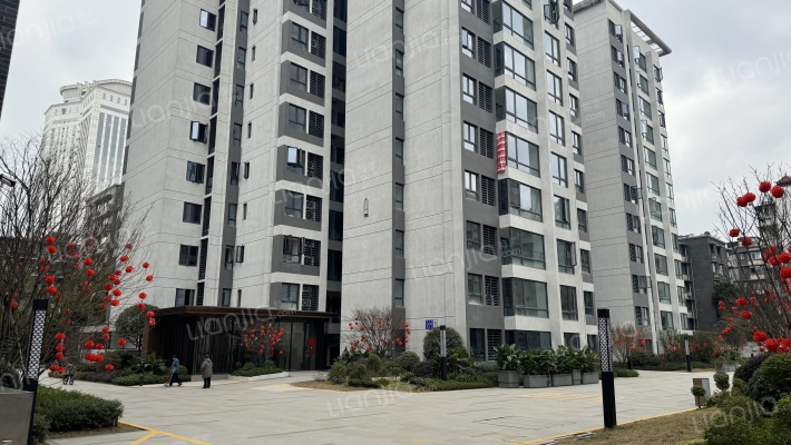 川发宽窄慢里外景图