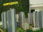 泰宏建业国际城项目现场
