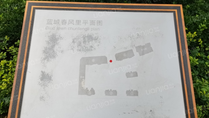 蓝城春风里一期外景图