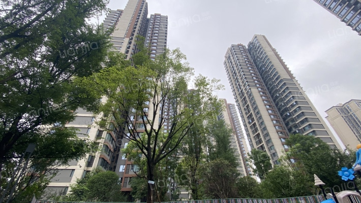 同森锦熙三期外景图