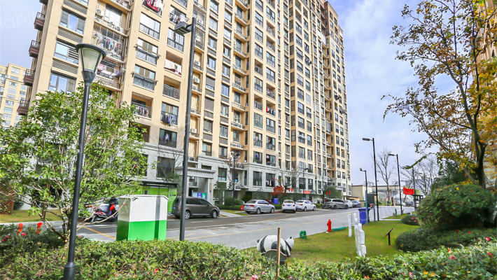 金科东方水榭外景图