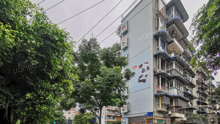 九里西苑B区外景图