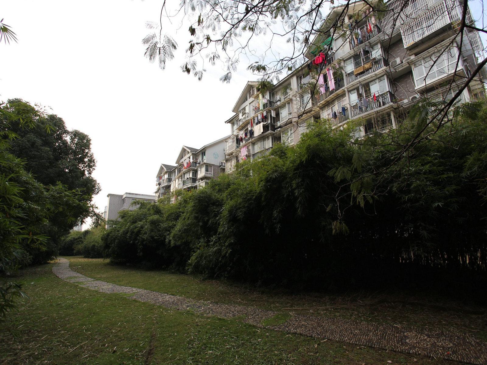 Shuiyingyuan compound photo 20