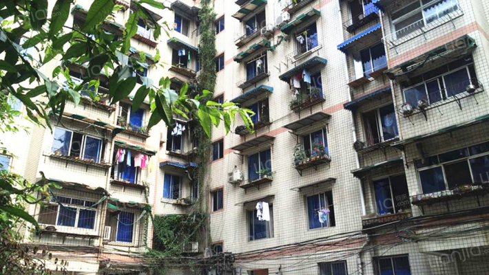 群康路50号外景图