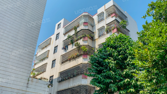 工商分局宿舍外景图