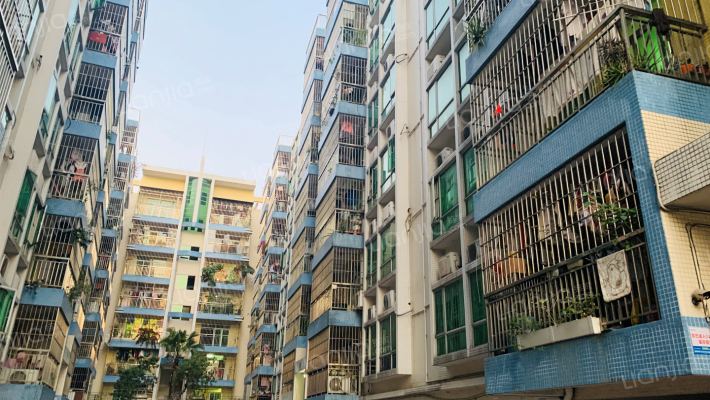 伦教金碧豪庭外景图