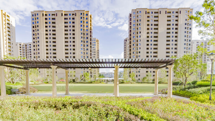 堇悦雅庭外景图