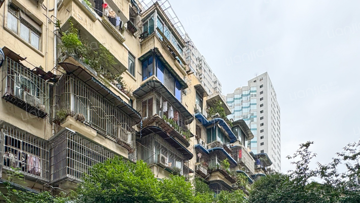 学道街64号外景图