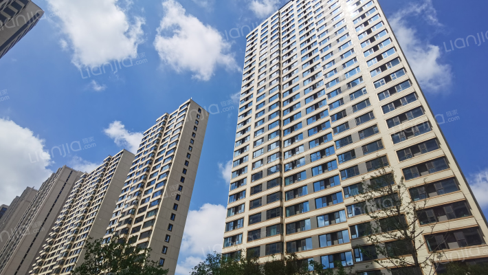 崂山金茂府东区外景图