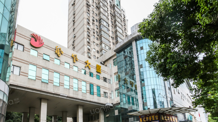 凤凰大厦外景图