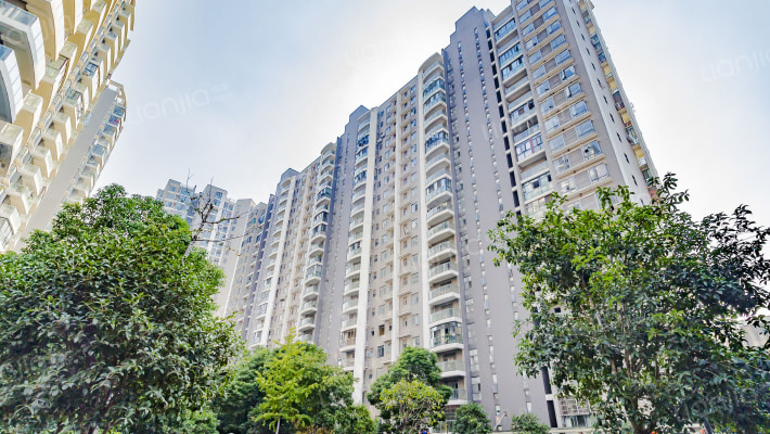 中央锦城外景图