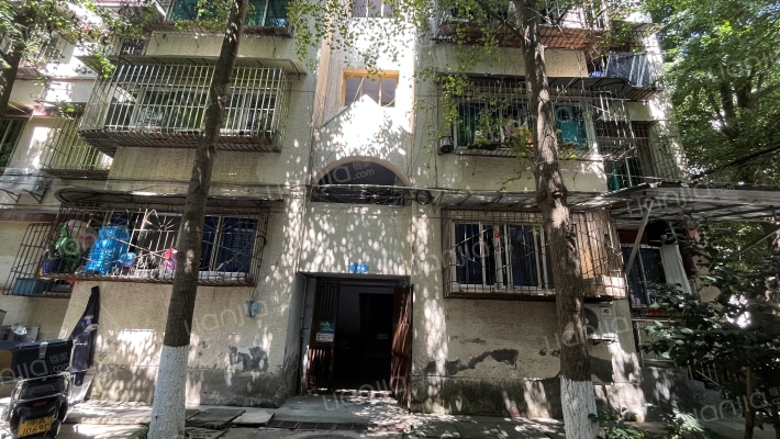 岷江造林局外景图