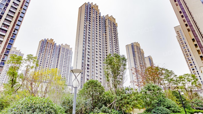 亲湖苑B区外景图