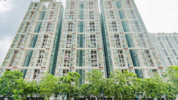 芳和花园外景图