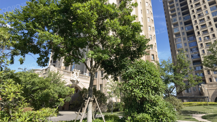 卓越天元外景图