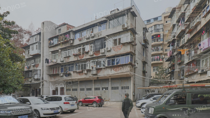 韦家桑园外景图