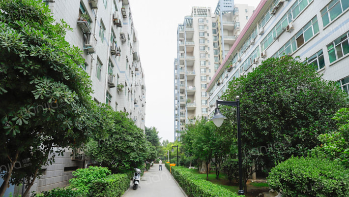 馨怡家园外景图