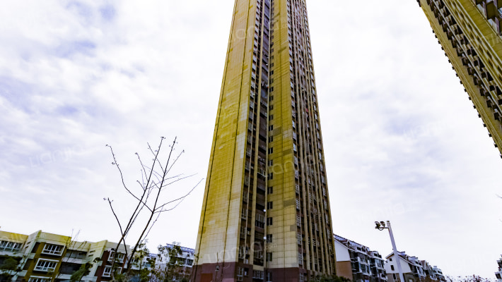 裕存堂花园外景图