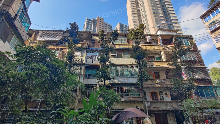 城基路179号外景图