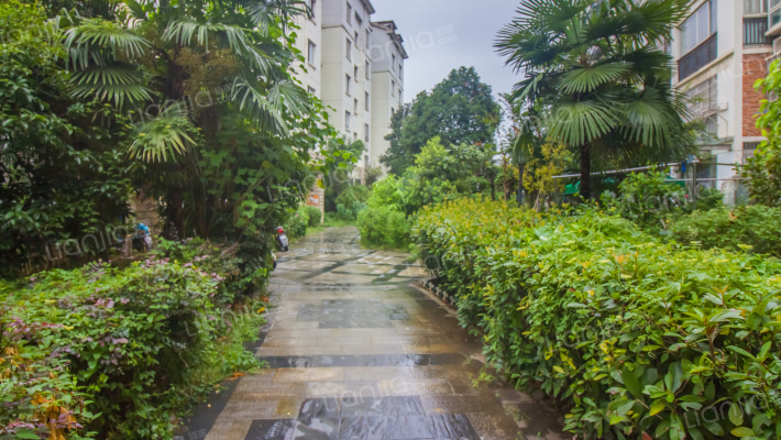 隆兴民居外景图