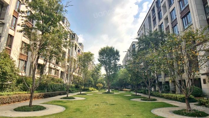 大华西溪风情澄品外景图