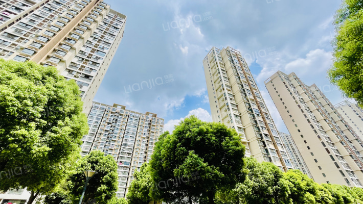 中南家园外景图