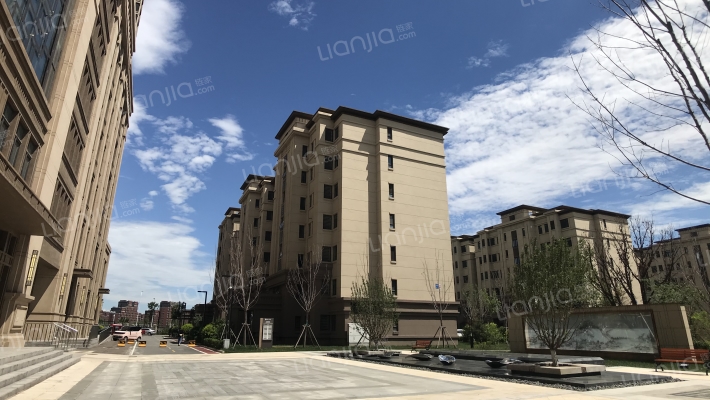 华远棠悦咏棠轩外景图