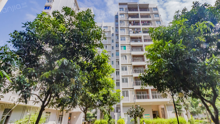 鼎峰国汇山外景图