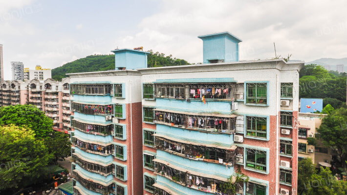 竹林花园外景图