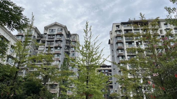 安澜骏景外景图