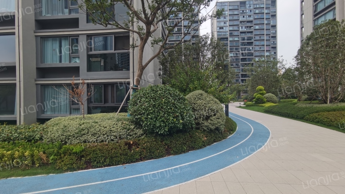 兴耀樱漫里外景图