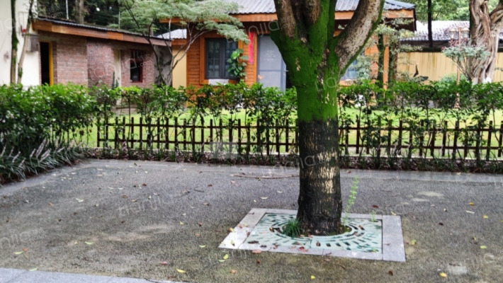 天堰村1号外景图