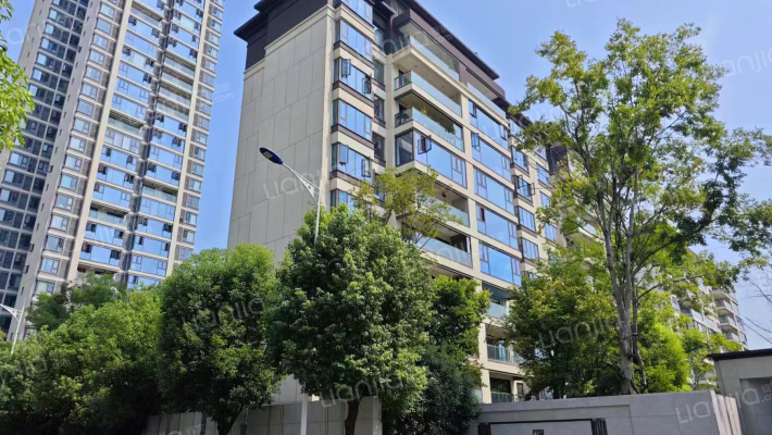 城投置地梧桐集外景图